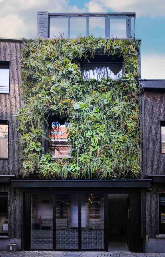 M-Street Art Lodging - Self Check-In Lovaina Exterior foto